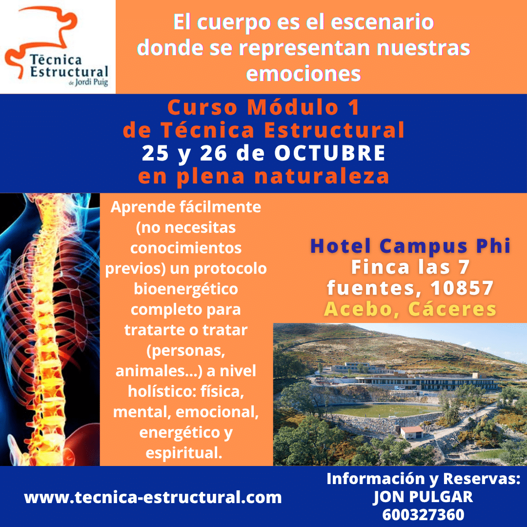 Técnica Estructural Cáceres