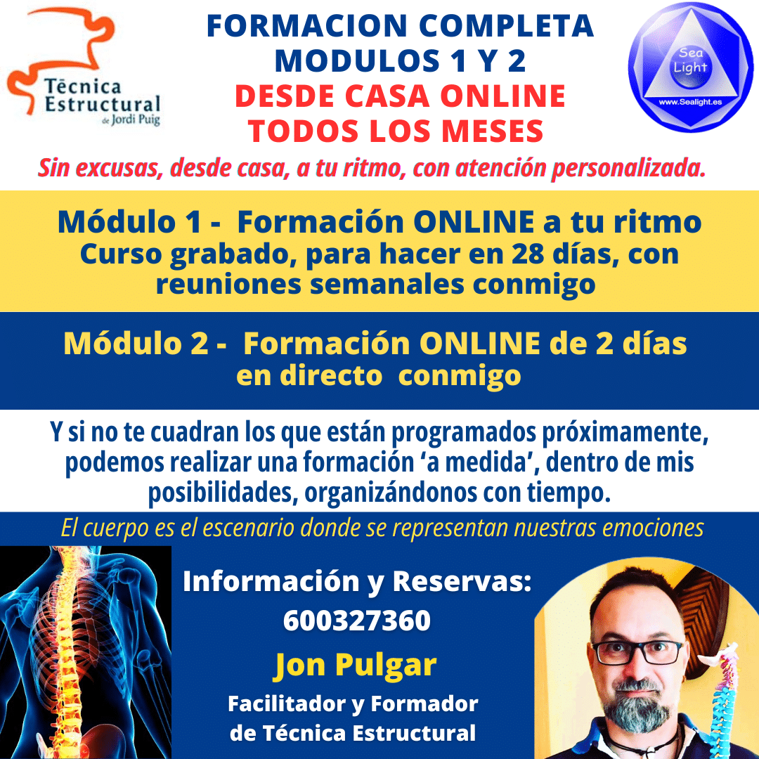 CURSO TECNICA ESTRUCTURAL ONLINE METODO JORDI PUIG